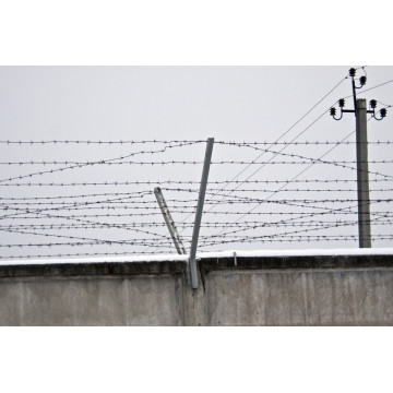 Barbed Wire